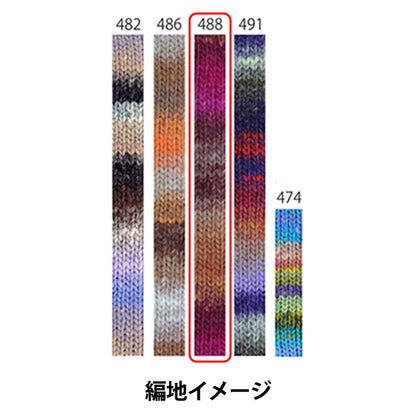 Herbst/WinterGarn „Kureyon Farbe 488“ NORO Eisaku Noro
