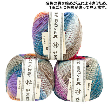 Fall/WinterYarn "Saiun, the No. 1 color" NORO Noro Hidesaku