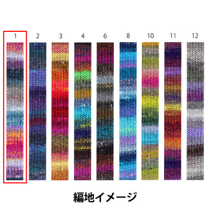 Fall/WinterYarn "Saiun, the No. 1 color" NORO Noro Hidesaku