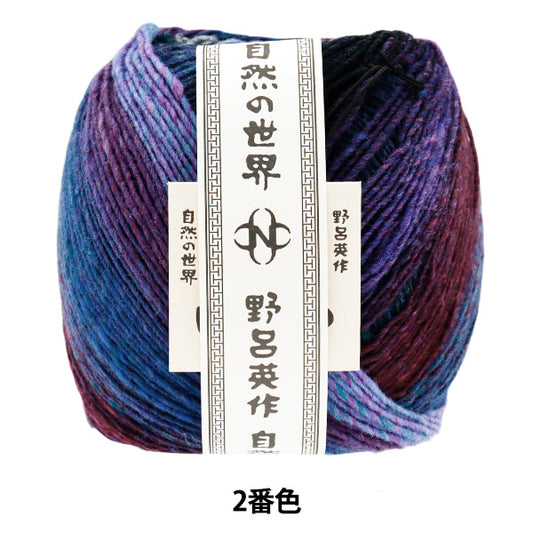 Fall/WinterYarn "Saiun, Color 2" NORO Noro Hidesaku