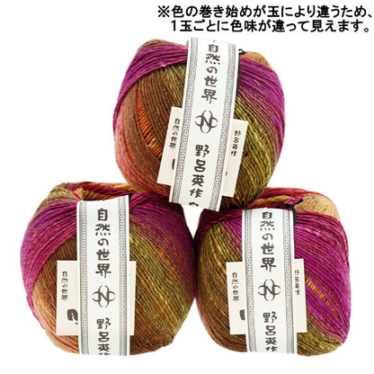 Fall/WinterYarn "Saiun, Color 3" NORO Noro Hidesaku