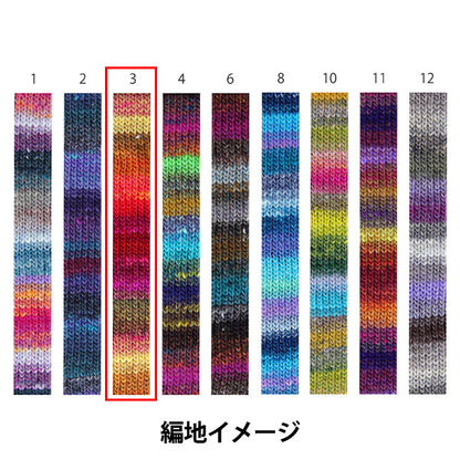 Fall/WinterYarn "Saiun, Color 3" NORO Noro Hidesaku