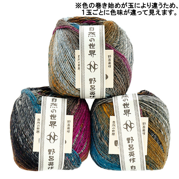 秋冬毛糸 『彩雲 6番色』 NORO 野呂英作 – Yuzawaya