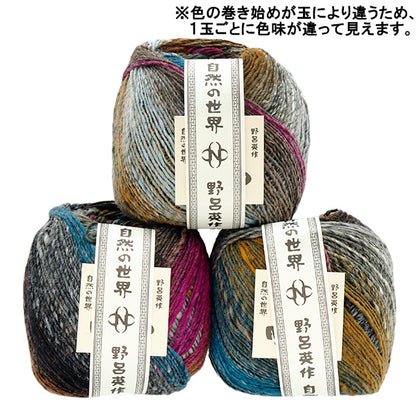 Fall/WinterYarn "Saiun, Color 6" NORO Noro Hidesaku