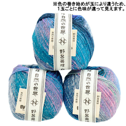 Fall/WinterYarn "Ayakumo no. 8" NORO Noro Hidesaku