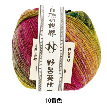 Fall/WinterYarn "Saiun Color No. 10" NORO Noro Hidesaku