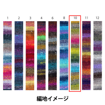 Fall/WinterYarn "Saiun Color No. 10" NORO Noro Hidesaku