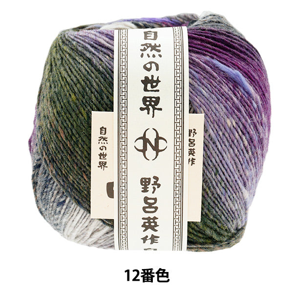 Fall/WinterYarn "Saiun Color No. 12" NORO Noro Hidesaku