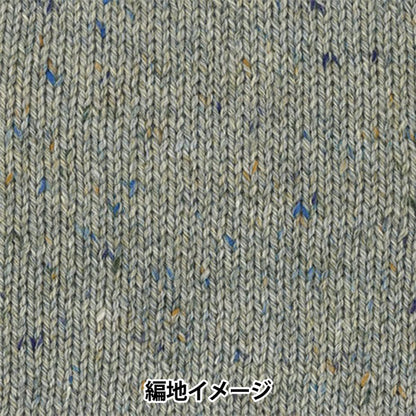 Herbst/WinterGarn „Alan Tweed Farbe 23“ Hamanaka