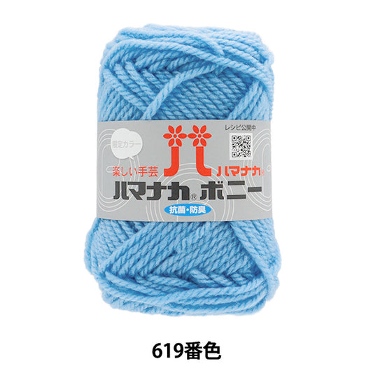 Yarn "Hamanaka Bonnie Color 619" Hamanaka
