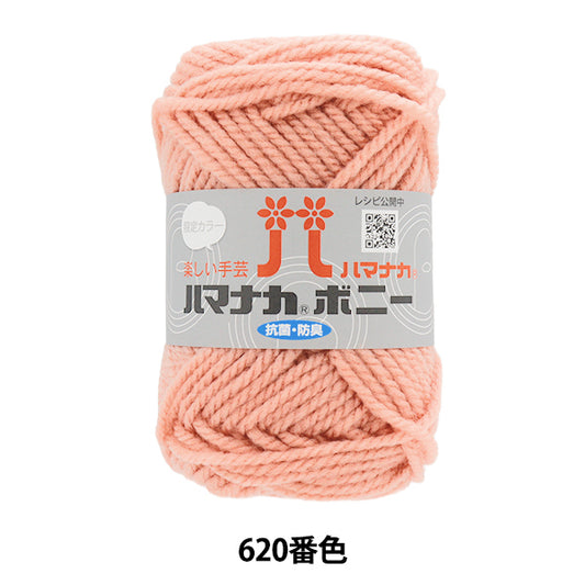Yarn "Hamanaka Bonnie Color 620" Hamanaka