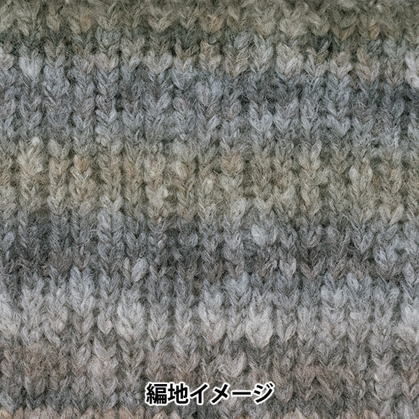 Herbst und WinterGarn "Theater 1st Color" Richmore Rich More