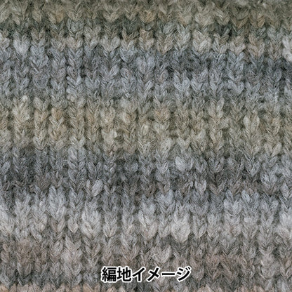 Herbst und WinterGarn "Theater 1st Color" Richmore Rich More