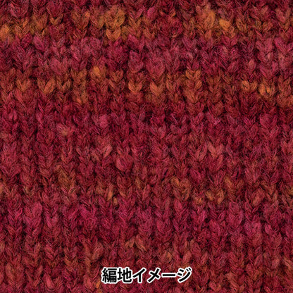 Herbst und WinterGarn "Theater 5. Farbe" Richmore Rich More