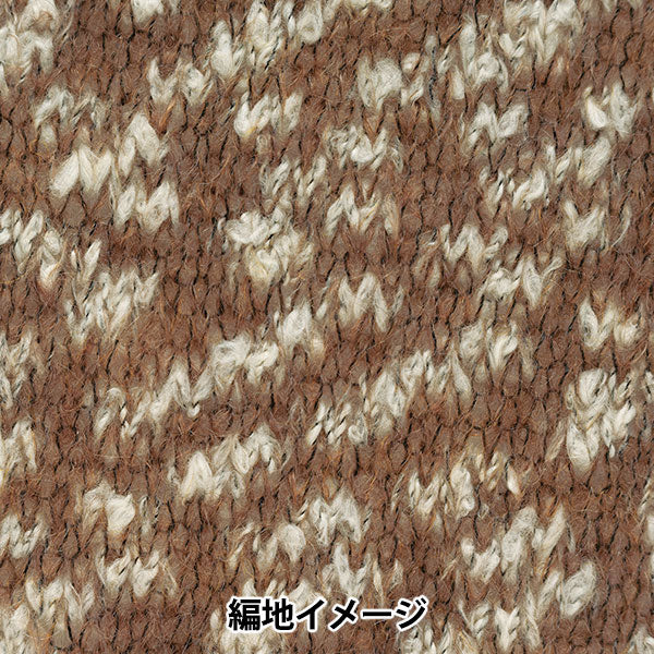 Fall and winterYarn "Fine Snow 4th color" RICHMORE Rich More