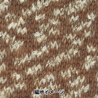 Fall and winterYarn "Fine Snow 4th color" RICHMORE Rich More