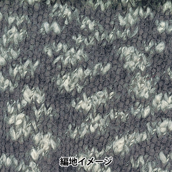 Automne et hiverpelote de laine "Fine neige 9e couleur" Richmore Rich plus