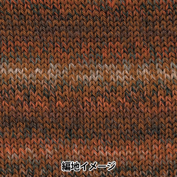 Fall and winterYarn "Percent variation 305 color" Richmore Rich More