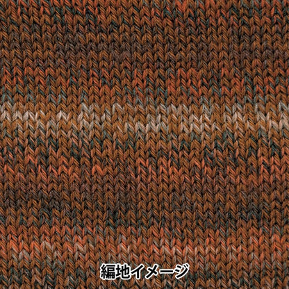 Fall and winterYarn "Percent variation 305 color" Richmore Rich More