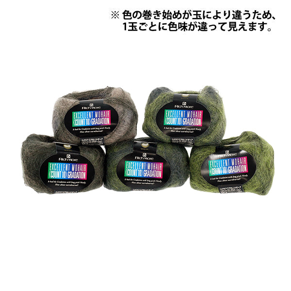 秋冬毛糸 『リッチモア エクセレントモヘア(カウント10) グラデーション 138番色』 RichMore リッチモア