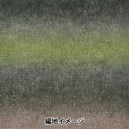 秋冬毛糸 『リッチモア エクセレントモヘア(カウント10) グラデーション 138番色』 RichMore リッチモア