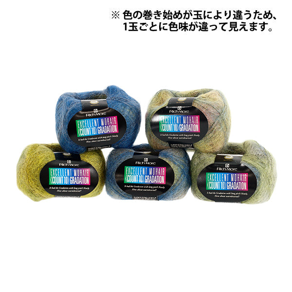 秋冬毛糸 『リッチモア エクセレントモヘア(カウント10) グラデーション 142番色』 RichMore リッチモア