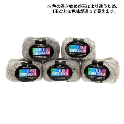 秋冬毛糸 『リッチモア エクセレントモヘア(カウント10) グラデーション 143番色』 RichMore リッチモア