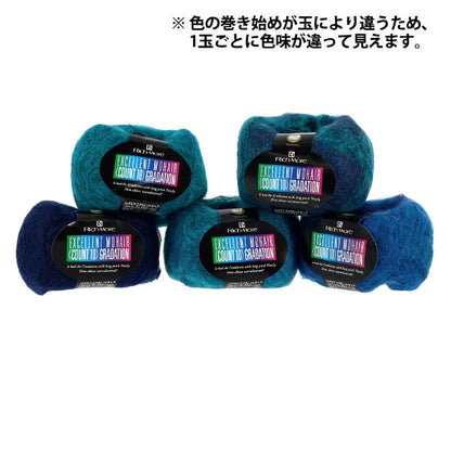 秋冬毛糸 『エクセレントモヘアカウント10 グラデーション128番色』 RichMore リッチモア