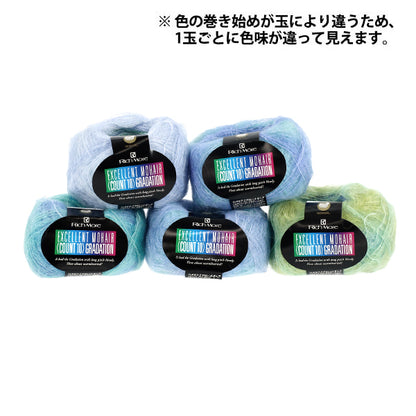 秋冬毛糸 『エクセレントモヘアカウント10 グラデーション 136番色20g』 RichMore リッチモア