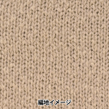 Otoño / Winter Wool "Mosmos 2do color" Hamanaka Hamanaka