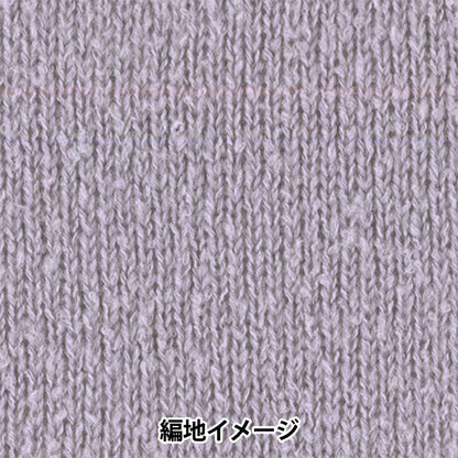 秋冬紗線 "莫斯10号色" Hamanaka