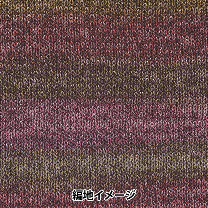 Otoño / Winter Wool "Topsy 4th Color" Hamanaka Hamanaka