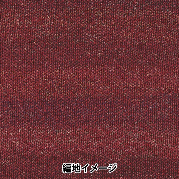 Lana autunnale / inverno "topsy 6th Color" Hamanaka Hamanaka