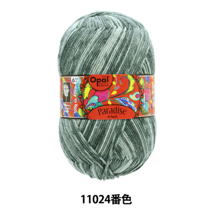 خيوط الجورب خيوط الغزل "بارادايس 6 طبقات 11024 لون أوبال أوبال