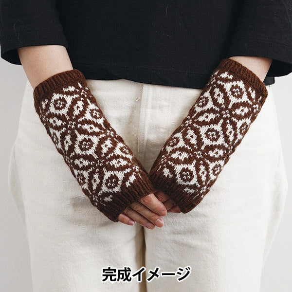 編み物キット 『Fall&Winter Knit kit 編み込みのロングハンドウォーマー 21W-0405』 DARUMA ダルマ 横田