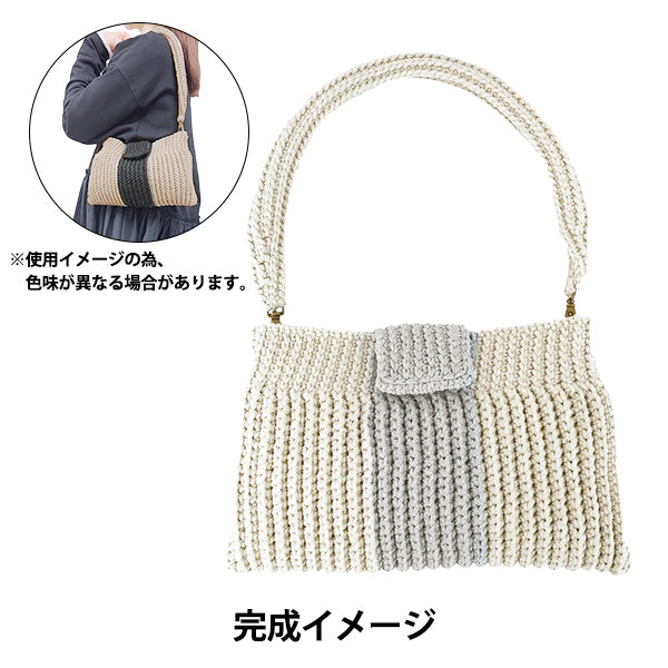 [Video incluso] Kit di maglia "Kit di borsa scintillante in stile marca Beige x Grey" DIAMOND KNITTING YARN