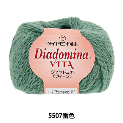 가을/겨울털실 "Diadomina Vita Color 5507" DIAMOND KNITTING YARN