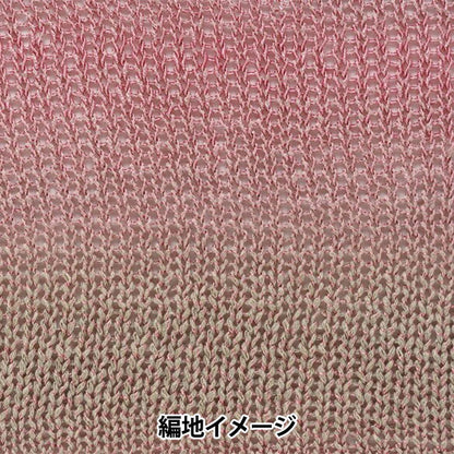 봄 / 여름털실 "Ecaud Paris 6th Color"Richmore Rich