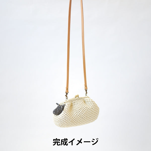 뜨개질 키트 "Ecoandariya 양동전 지갑가방 H167-245-207]