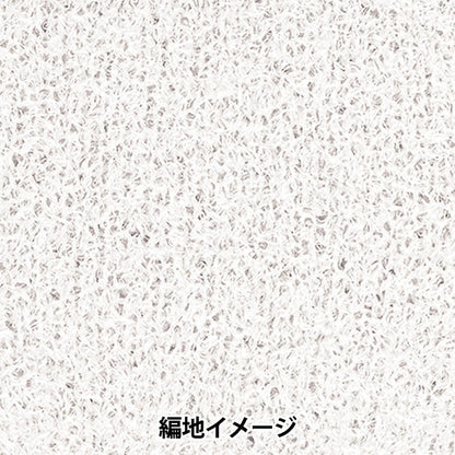 Spring/SummerYarn "Cocoon 1st Color" RichMore