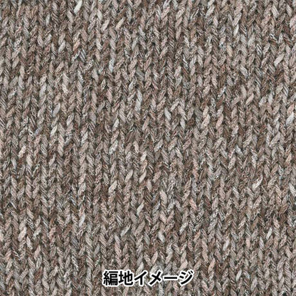 Spring/SummerYarn "Hosun Snow, the No. 1" Rich More