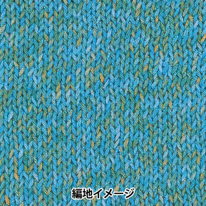 Spring/SummerYarn "Hosunyuki, color 3" Rich More