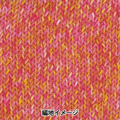 Primavera/veranoHilos "Hosoyuki Color No. 5" Rich más