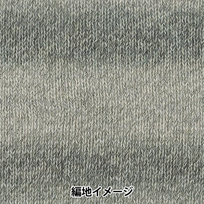 Otoño/InviernoHilos "Baccarat crochet 401 color" rico más