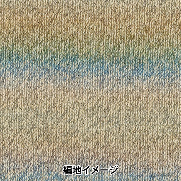 Otoño/InviernoHilos "Color de crochet de Baccarat 406" rico más