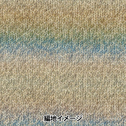 Otoño/InviernoHilos "Color de crochet de Baccarat 406" rico más