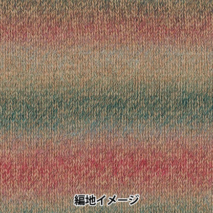 Automne / hiverpelote de laine "Baccarat Crochet Color 407" Rich More