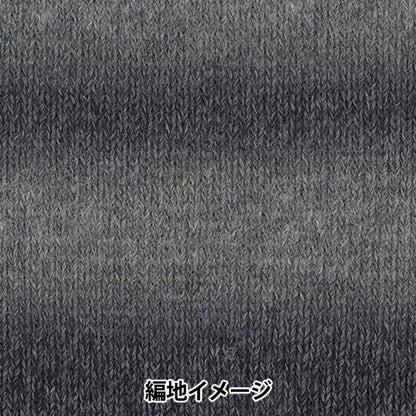 Otoño/InviernoHilos "Color de crochet de Baccarat 408" rico más