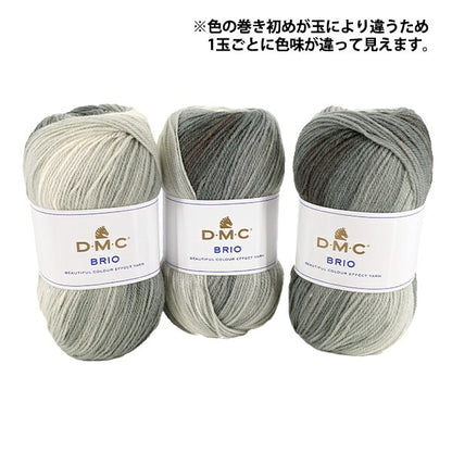 秋冬紗線 "Brio Color 430" DMC DMC