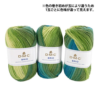 秋冬紗線 "Brio Color 434" DMC DMC